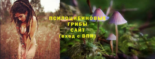 гашиш Инсар