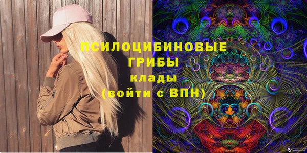 прущие крисы Инта