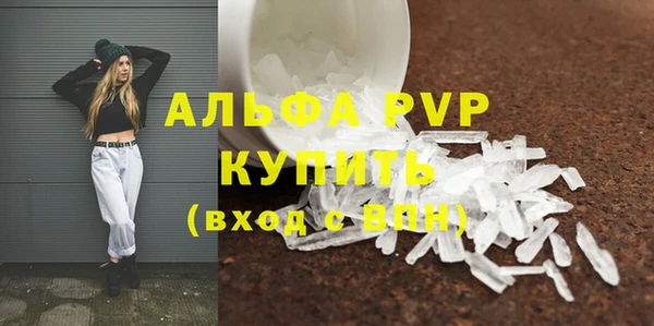 прущие крисы Инта